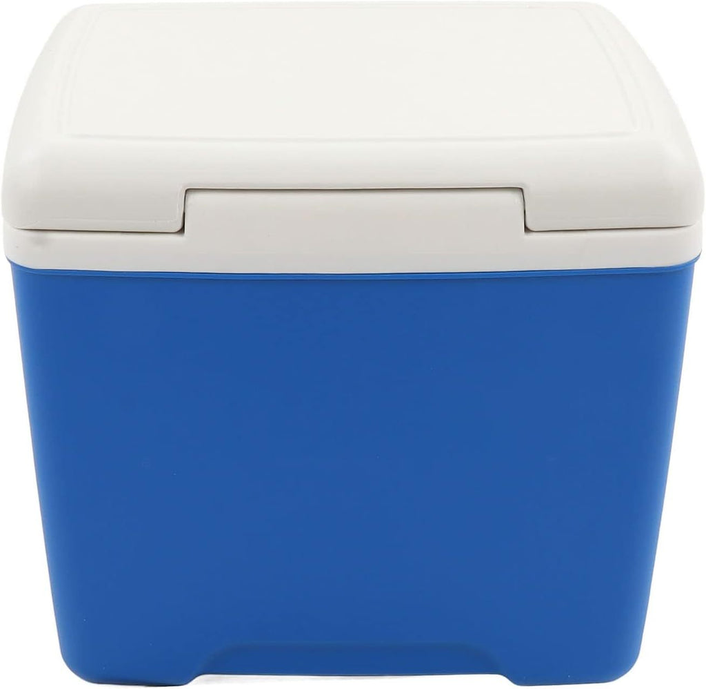13.8L Insulated Portable Cooler, Ice Retention Hard Cooler, Keeps Ice Up To 76 Hours, Ice Chest Lunch Box With Heavy Duty Handle For Picnic Camping Fishing