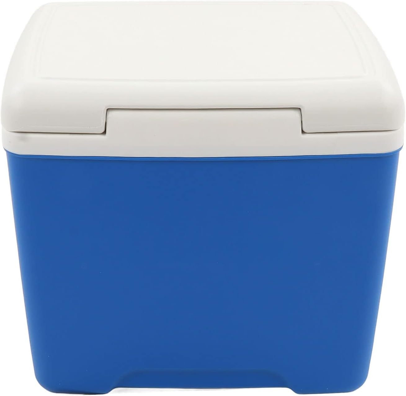 13.8L Insulated Portable Cooler, Ice Retention Hard Cooler, Keeps Ice Up To 76 Hours, Ice Chest Lunch Box With Heavy Duty Handle For Picnic Camping Fishing